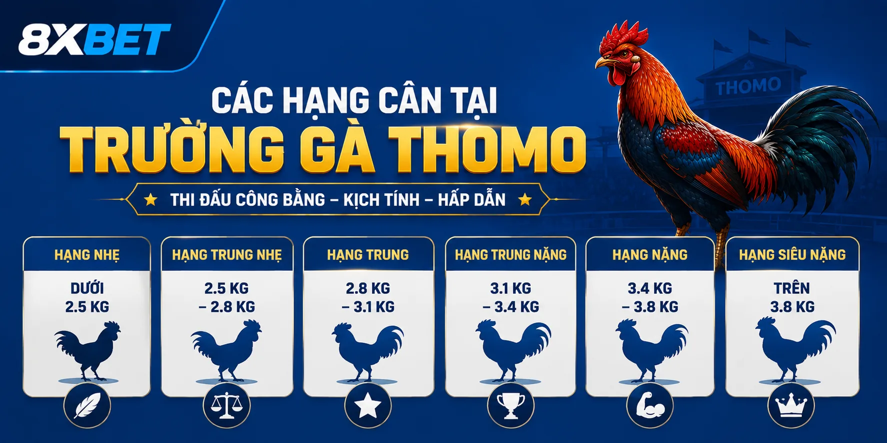Các hạng cân gà tại trường gà Thomo