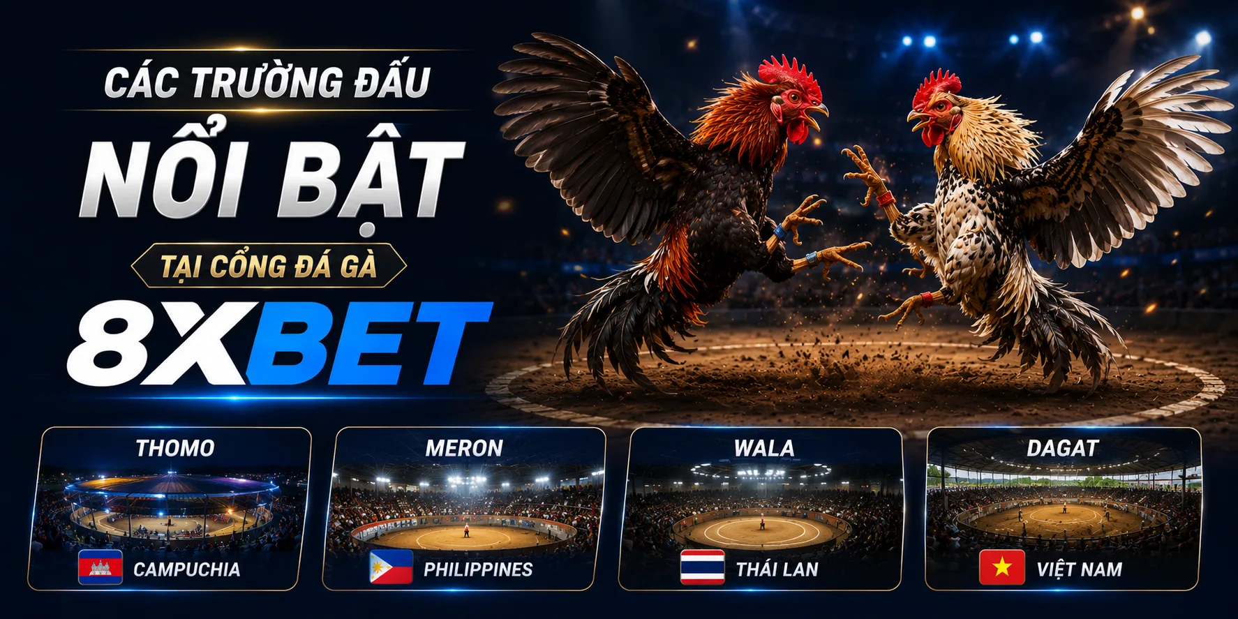 Các trường đấu đá gà 8xBET phổ biến hiện tại