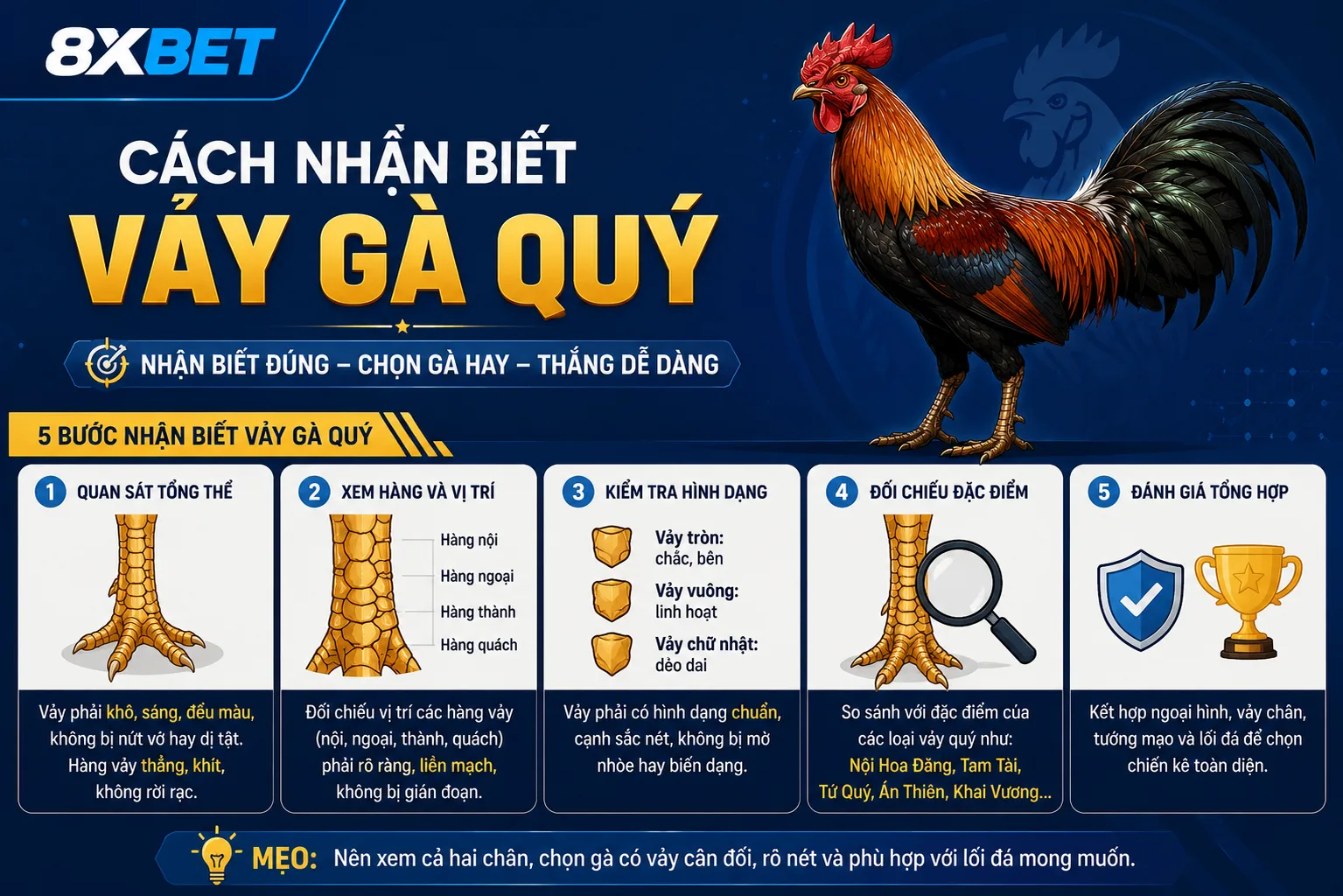 Tìm hiểu về vảy gà quý