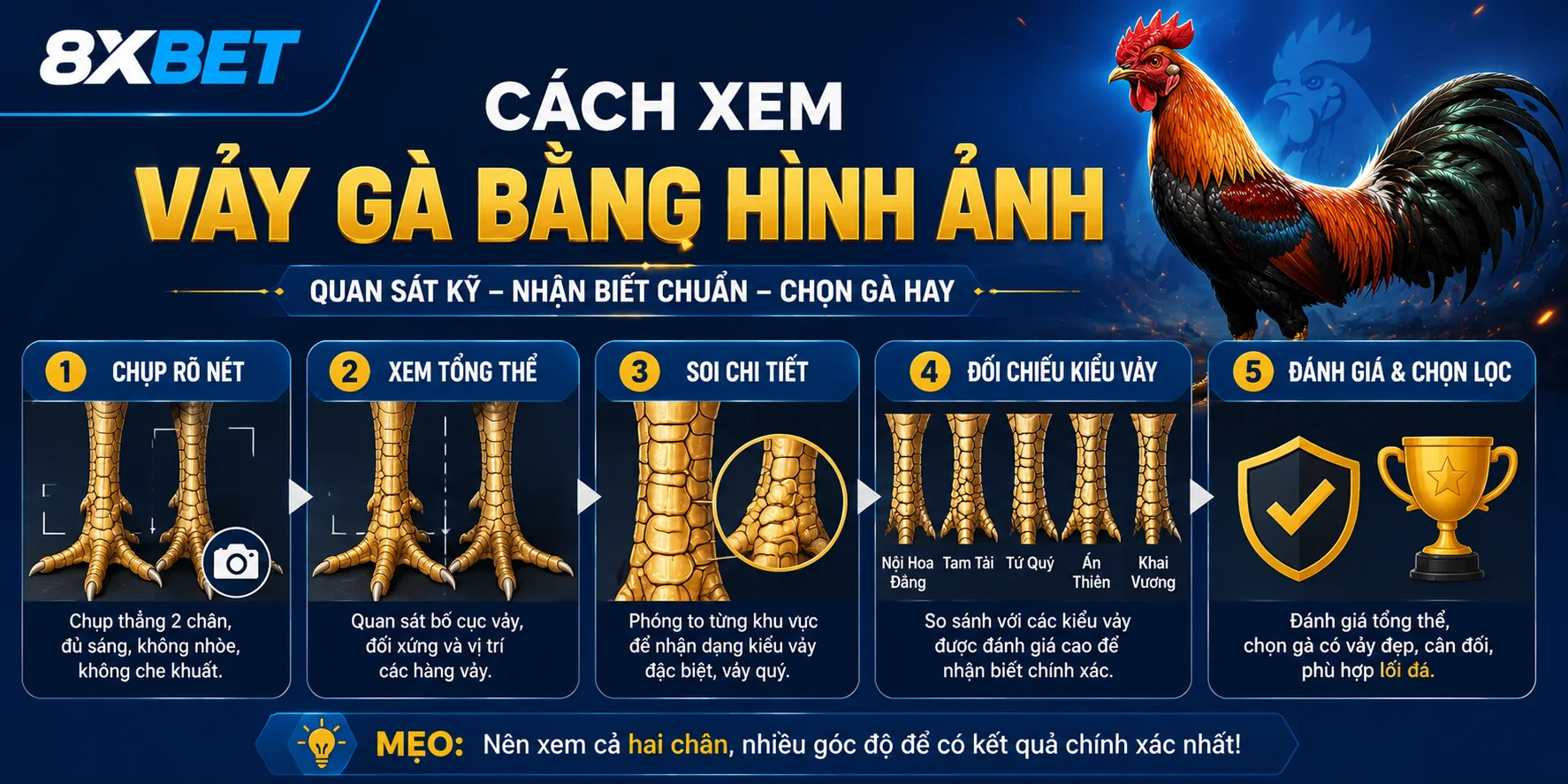 Nhận diện vảy gà quý qua hình ảnh