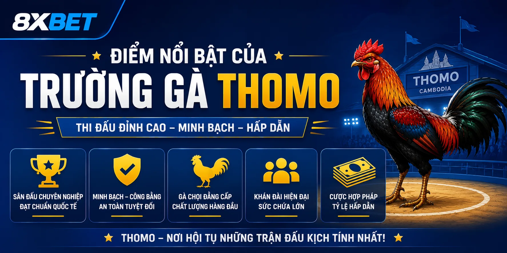 Điểm nổi bật của trường gà Thomo