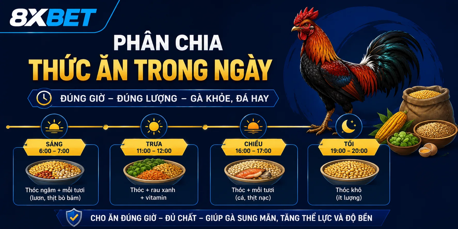 Cách phân chia thức ăn cho gà chọi