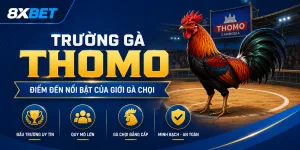 Giới thiệu trường gà Thomo
