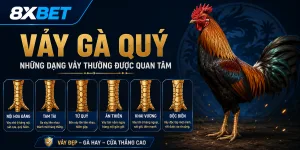 Các loại vảy gà quý hiện nay
